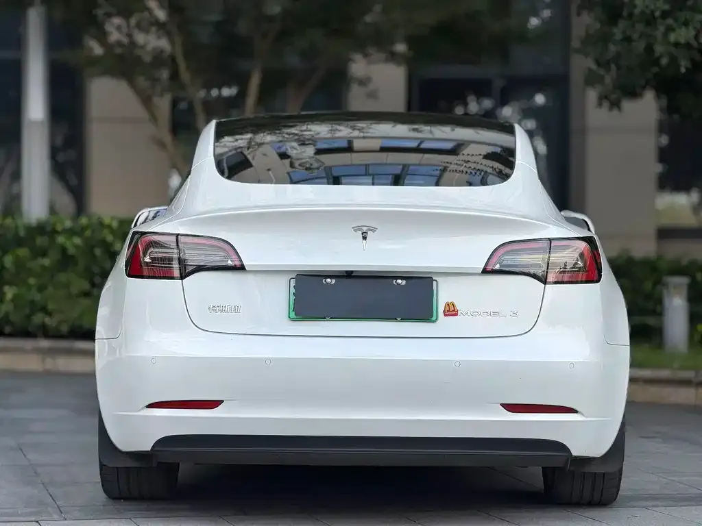 Tesla Model 3 2023 из CN, фото 2