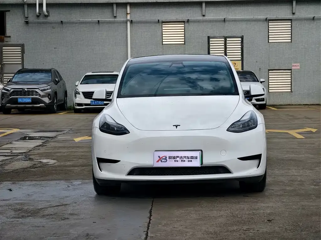 Tesla Model Y — фото 7
