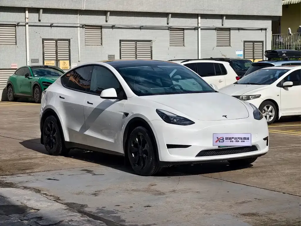 Tesla Model Y — фото 10