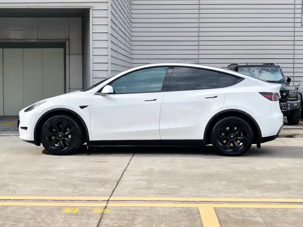 Tesla Model Y — фото 3