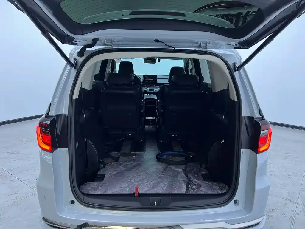 Honda Elysion 2024 из CN, фото 10