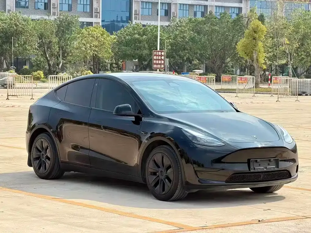 Tesla Model Y — фото 10