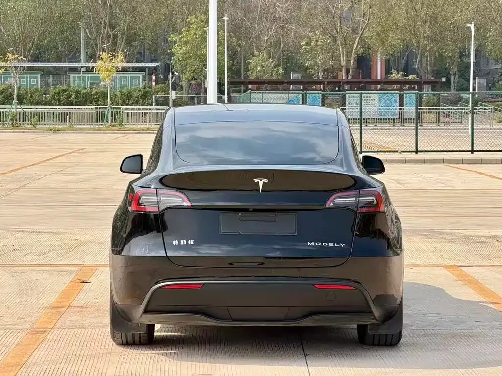 Tesla Model Y — фото 9
