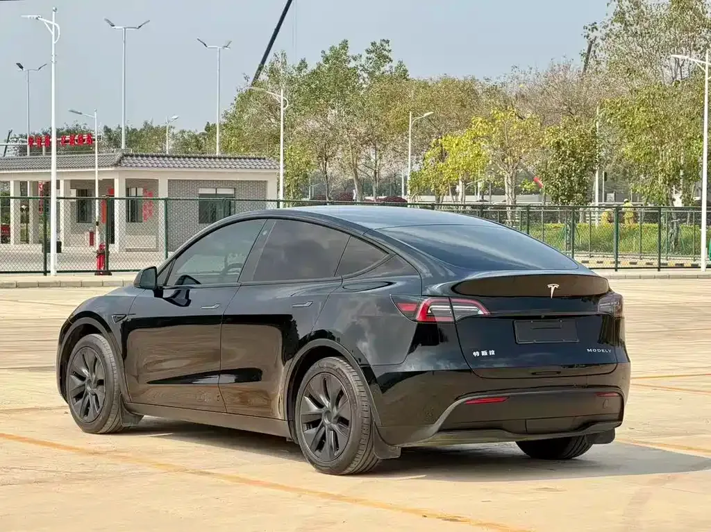 Tesla Model Y — фото 8