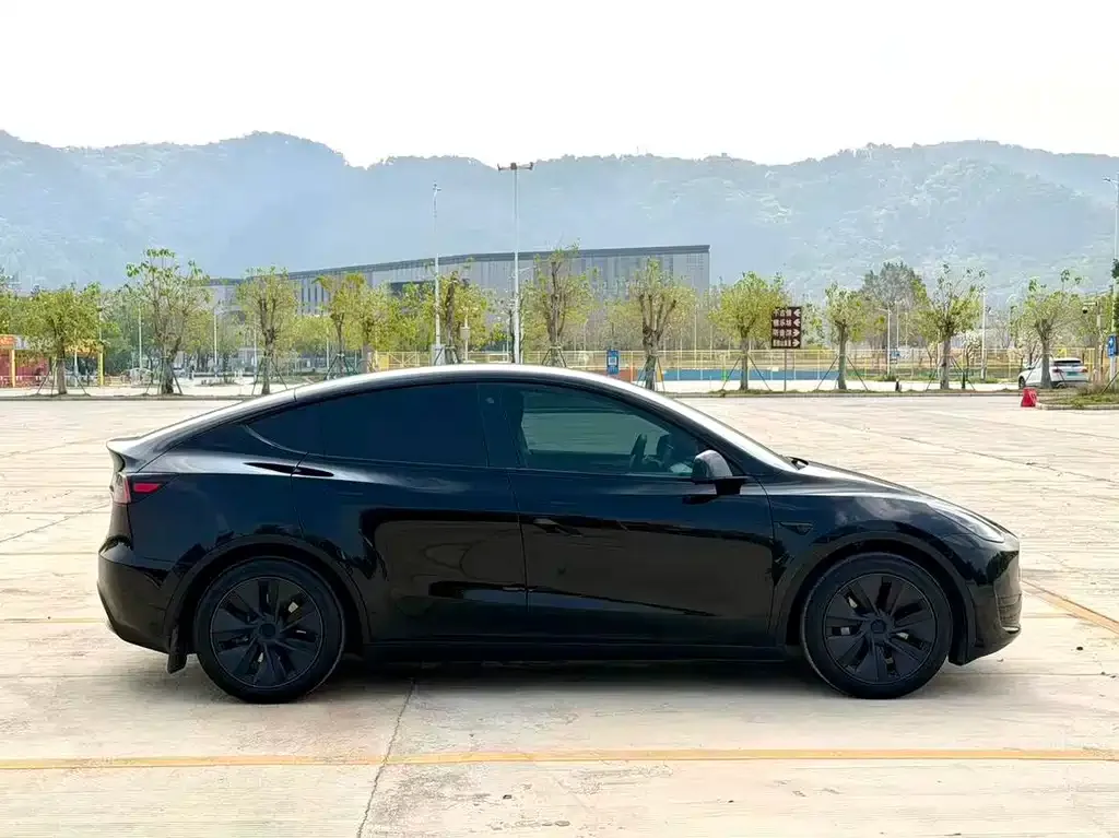 Tesla Model Y — фото 2