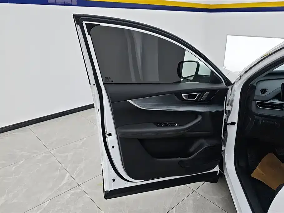 Chery Tiggo 7 PLUS 2023 из CN, фото 7