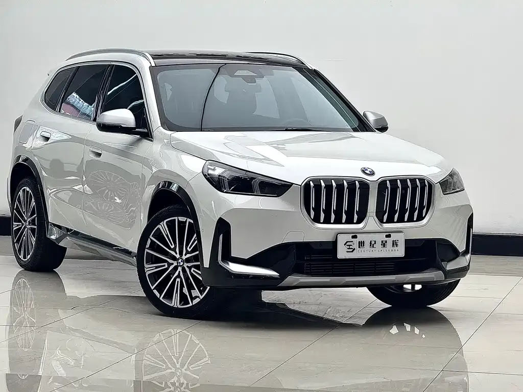 BMW X1 — фото 10