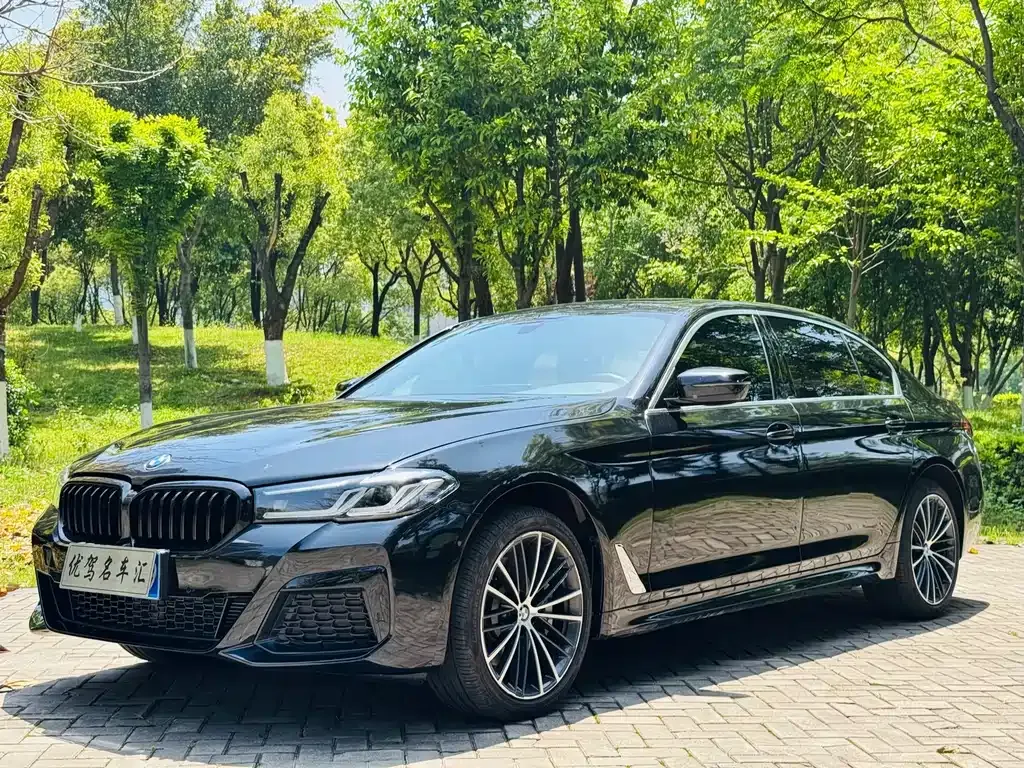 BMW 5 Series 2023 из CN, фото 1