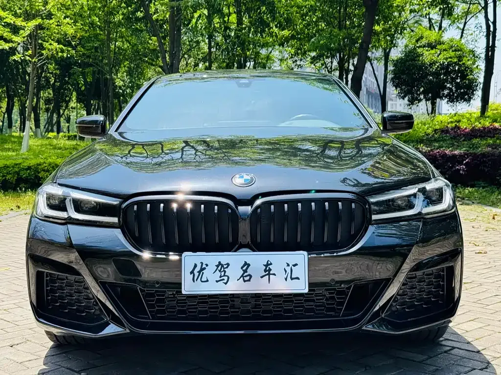 BMW 5 Series 2023 из CN, фото 7