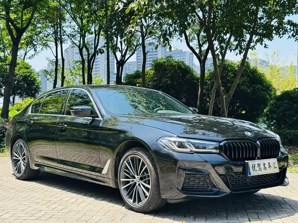 BMW 5 Series 2023 из CN, фото 10