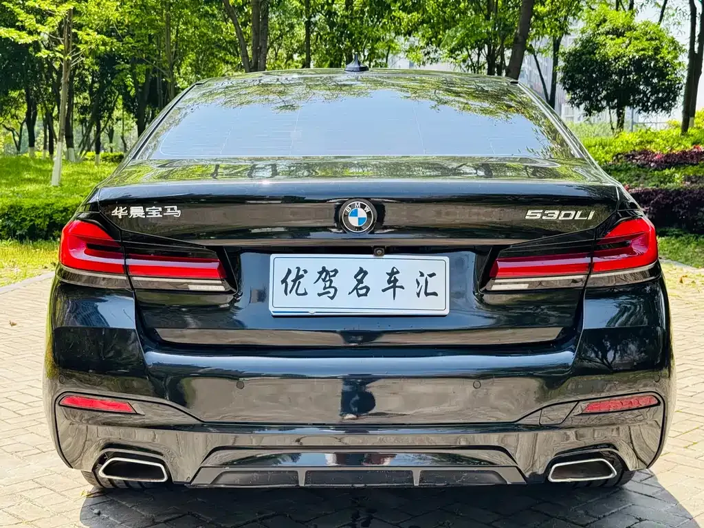 BMW 5 Series 2023 из CN, фото 9