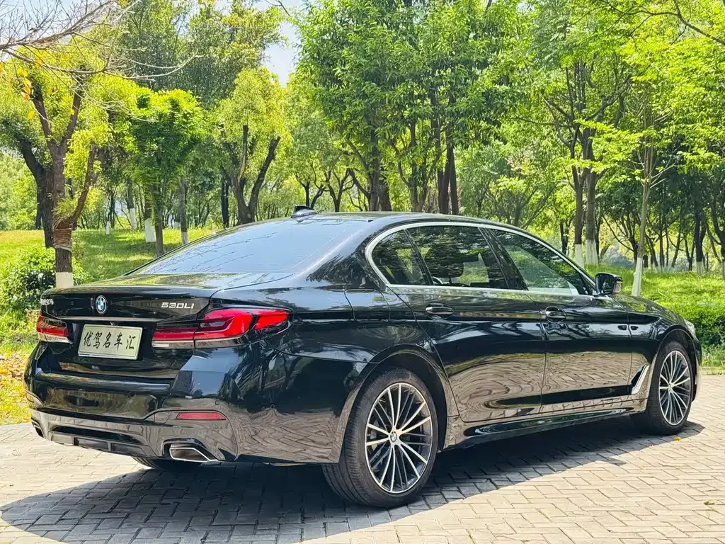 BMW 5 Series 2023 из CN, фото 8