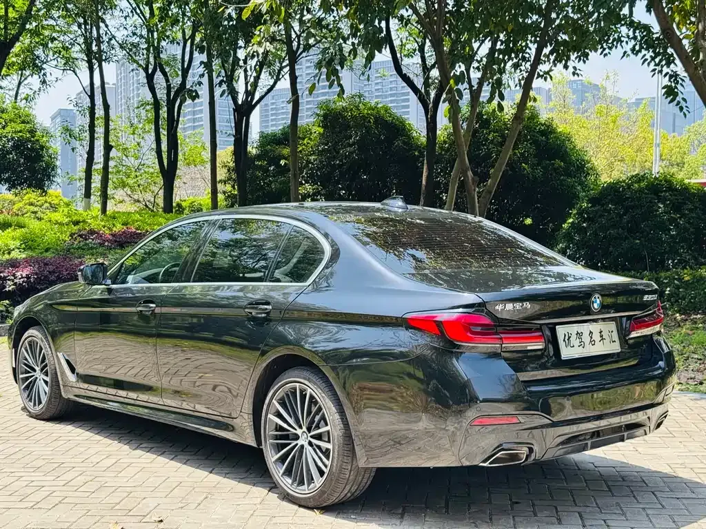 BMW 5 Series 2023 из CN, фото 4
