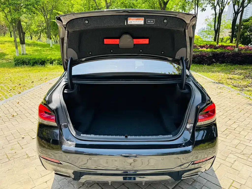 BMW 5 Series 2023 из CN, фото 3