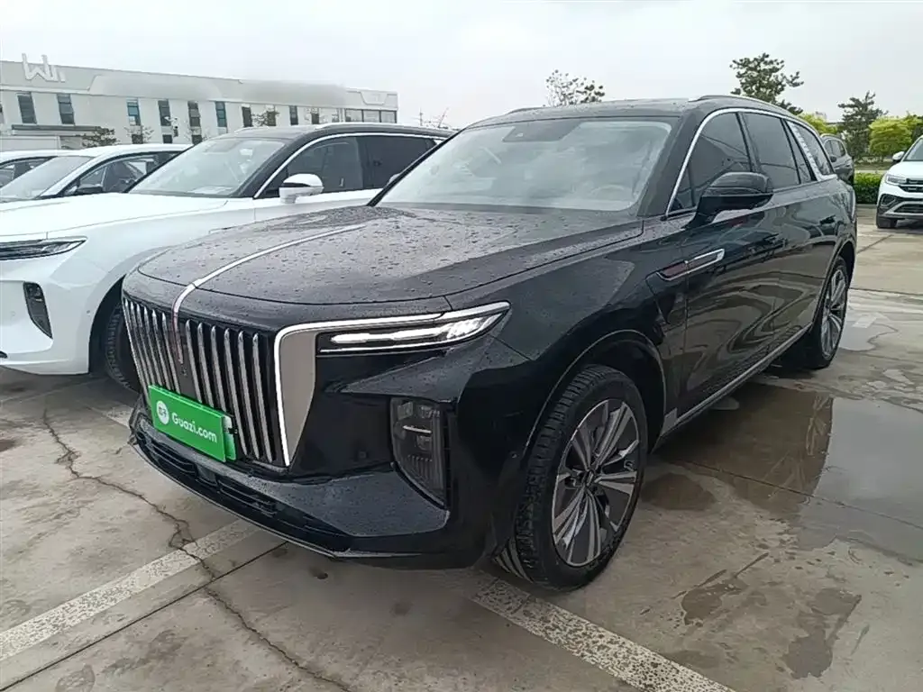 Hongqi E-HS9 2023 из CN, фото 10