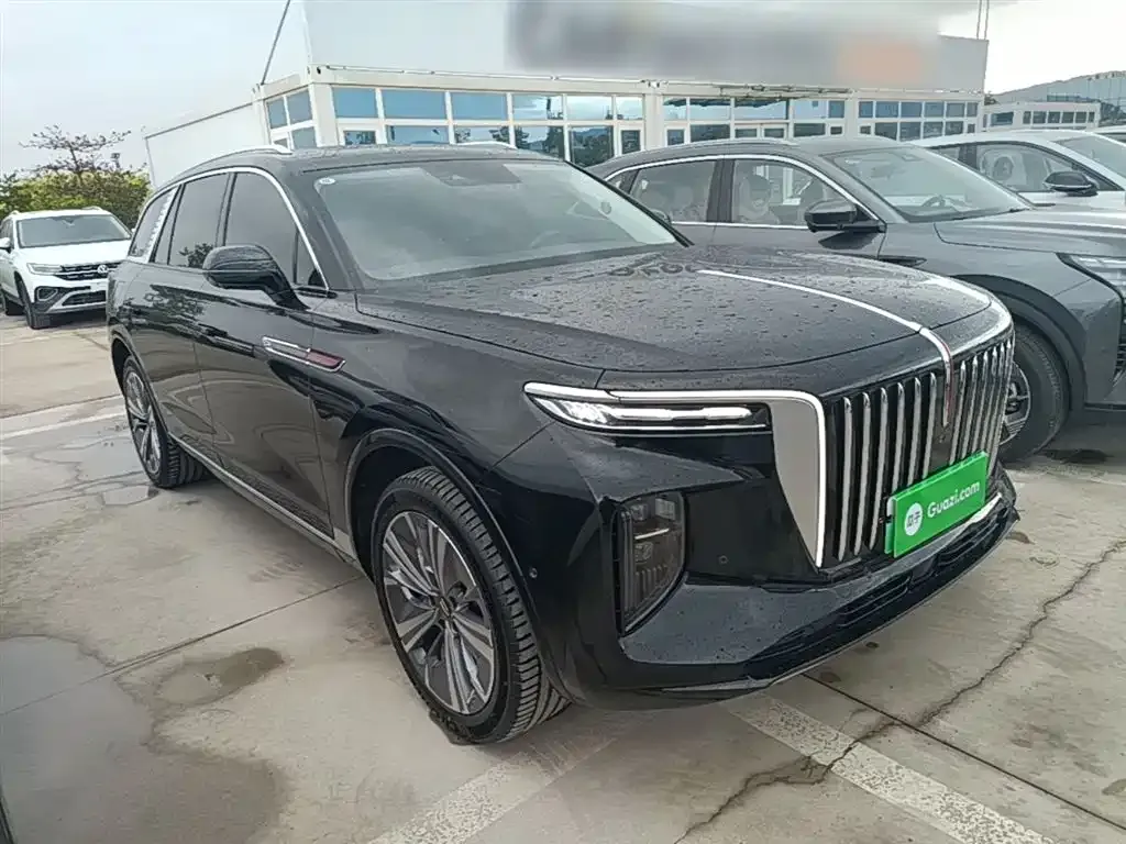Hongqi E-HS9 2023 из CN, фото 9