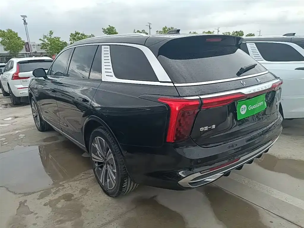 Hongqi E-HS9 2023 из CN, фото 4