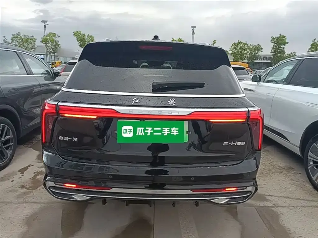 Hongqi E-HS9 2023 из CN, фото 7