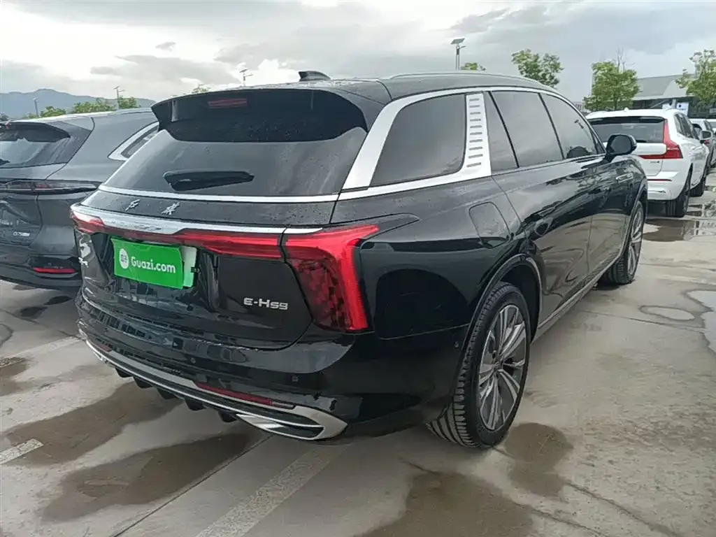 Hongqi E-HS9 2023 из CN, фото 6