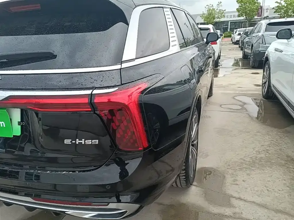 Hongqi E-HS9 2023 из CN, фото 2