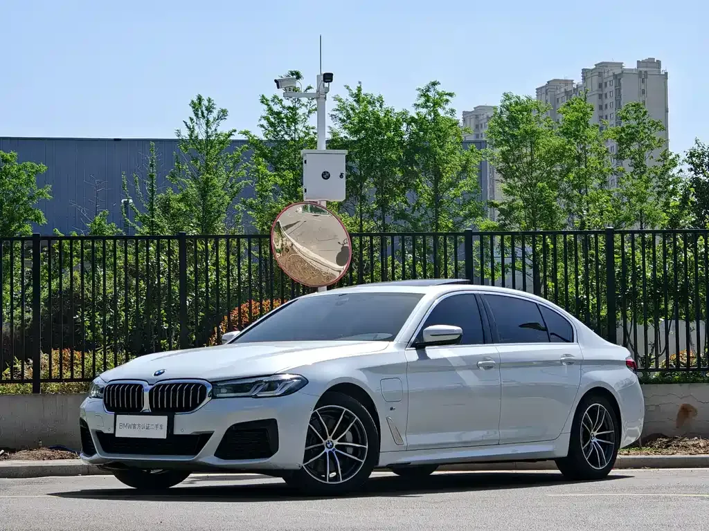BMW 5 Series New Energy 2021 из CN, фото 9