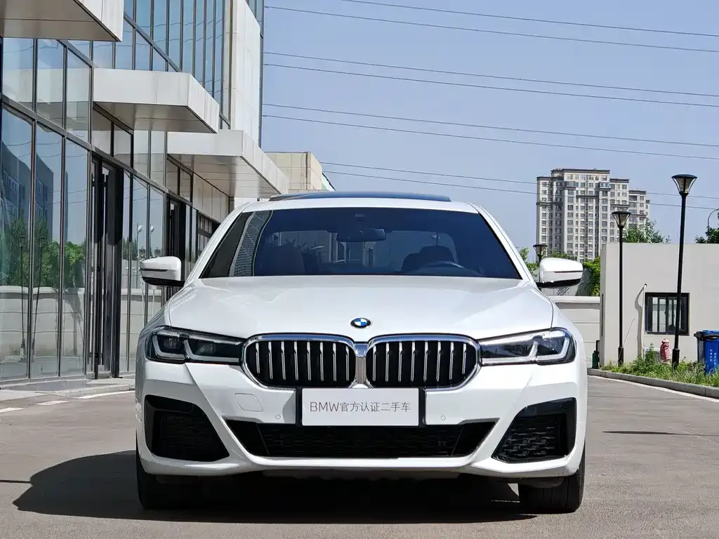 BMW 5 Series New Energy 2021 из CN, фото 3