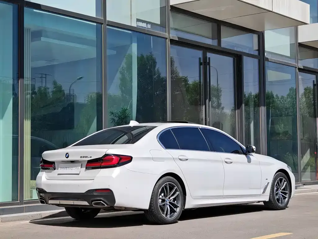 BMW 5 Series New Energy 2021 из CN, фото 2