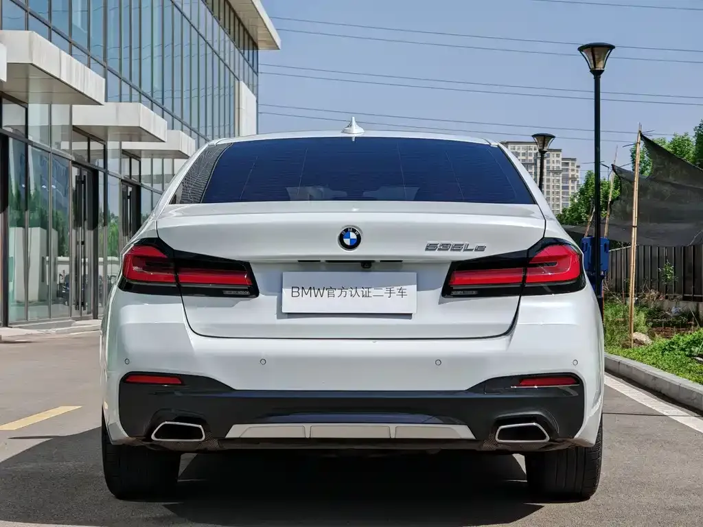 BMW 5 Series New Energy 2021 из CN, фото 4