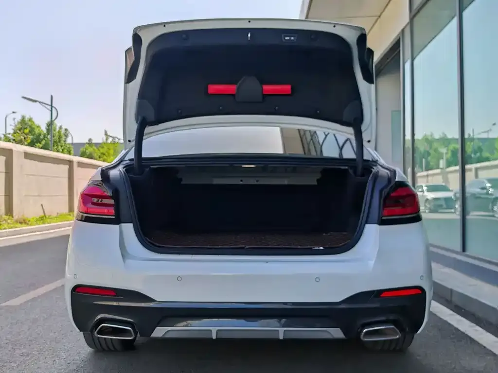 BMW 5 Series New Energy 2021 из CN, фото 6