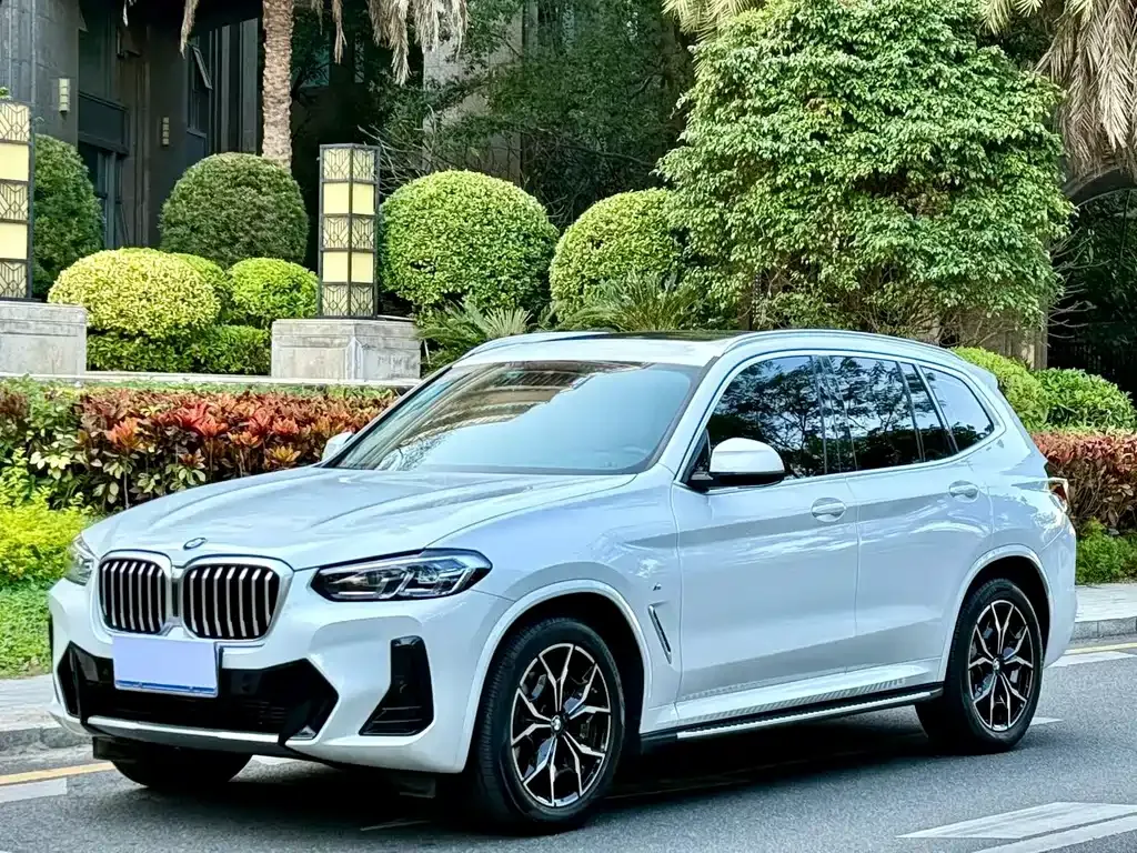 BMW X3 — фото 1