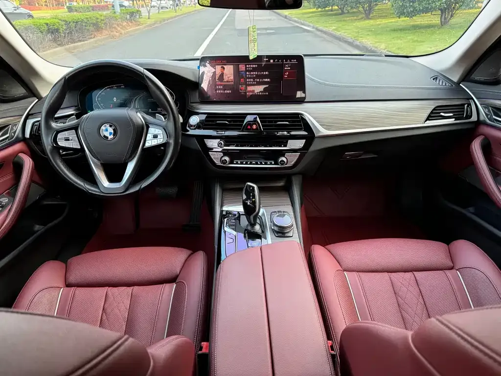 BMW 5 Series 2021 из CN, фото 8