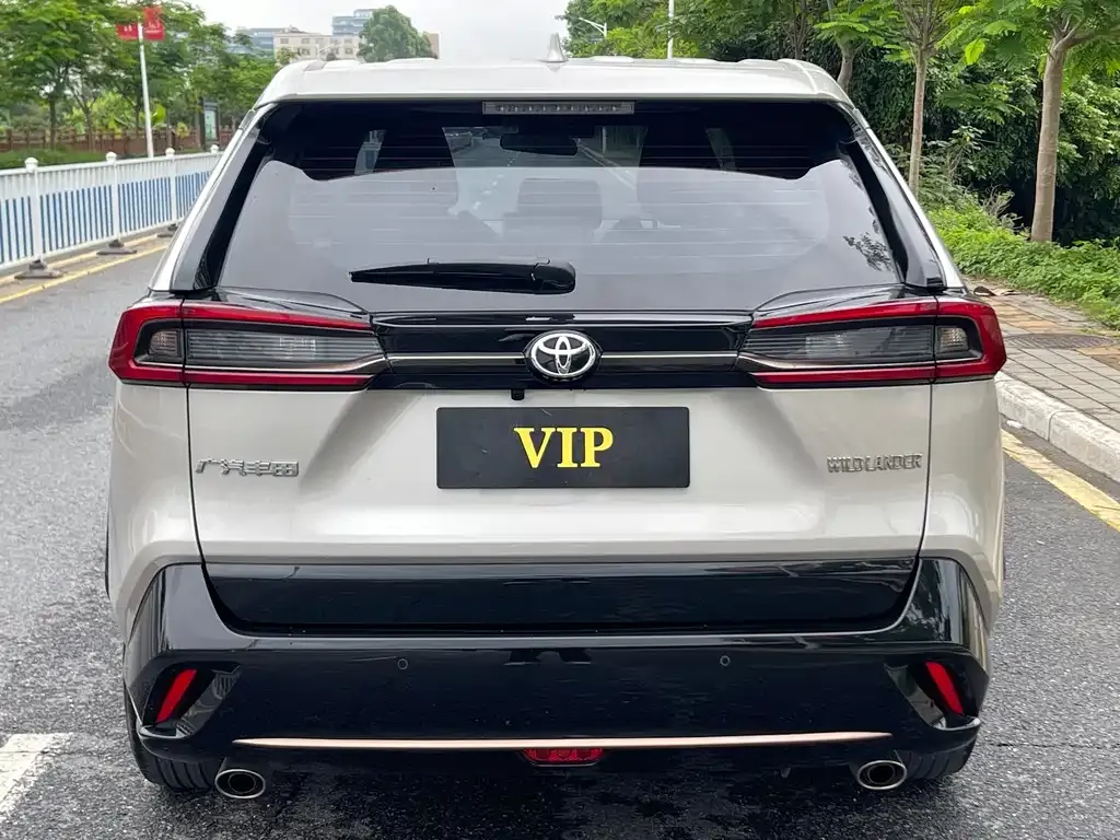 Toyota Wildlander 2025 из CN, фото 10