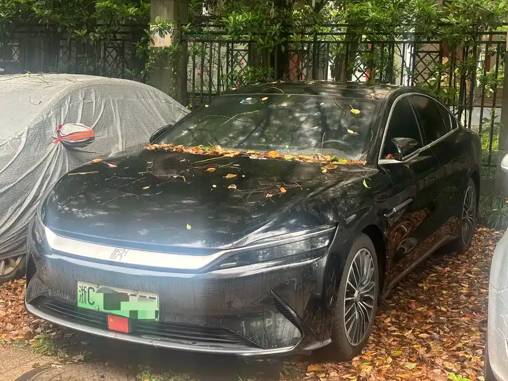 BYD Han — фото 1