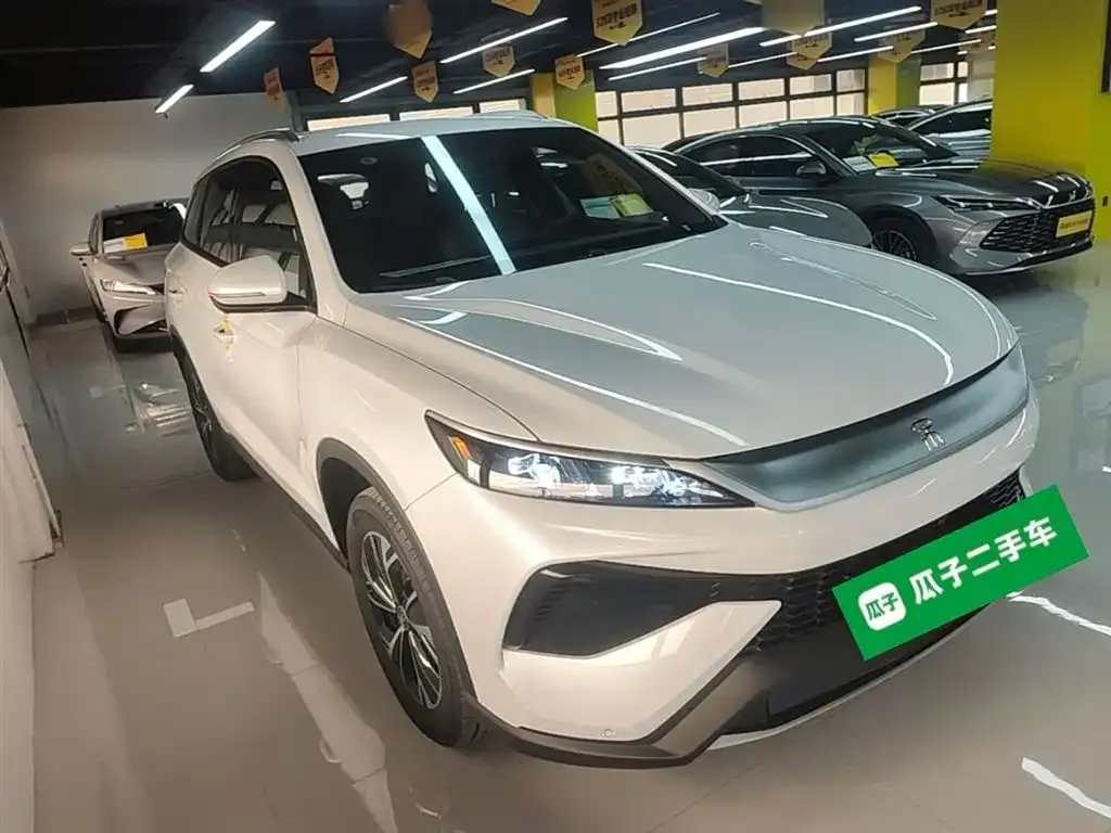BYD Pro New Energy — фото 9