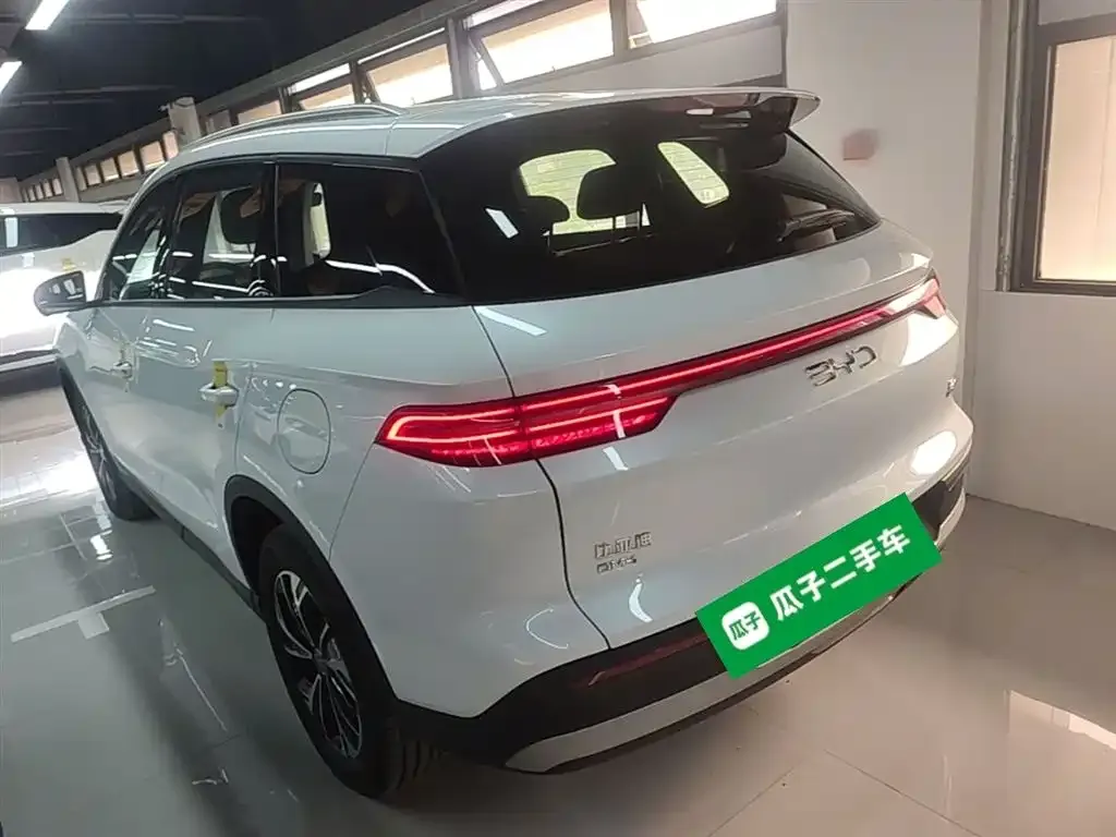 BYD Pro New Energy — фото 6