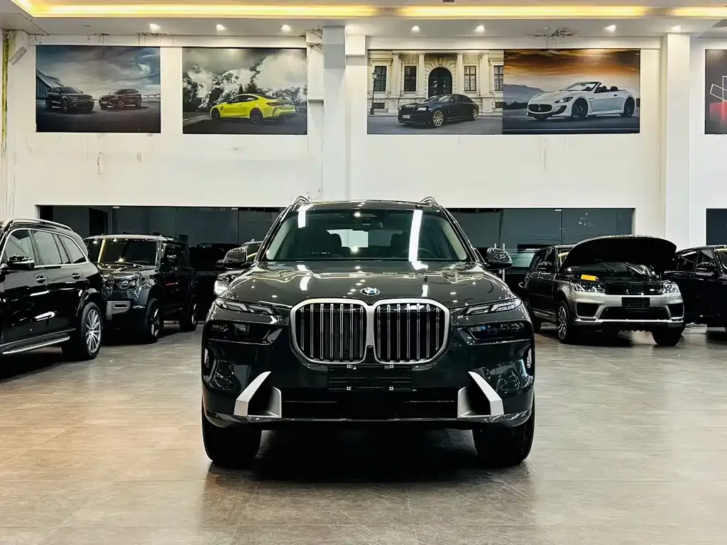 BMW X7 — фото 9