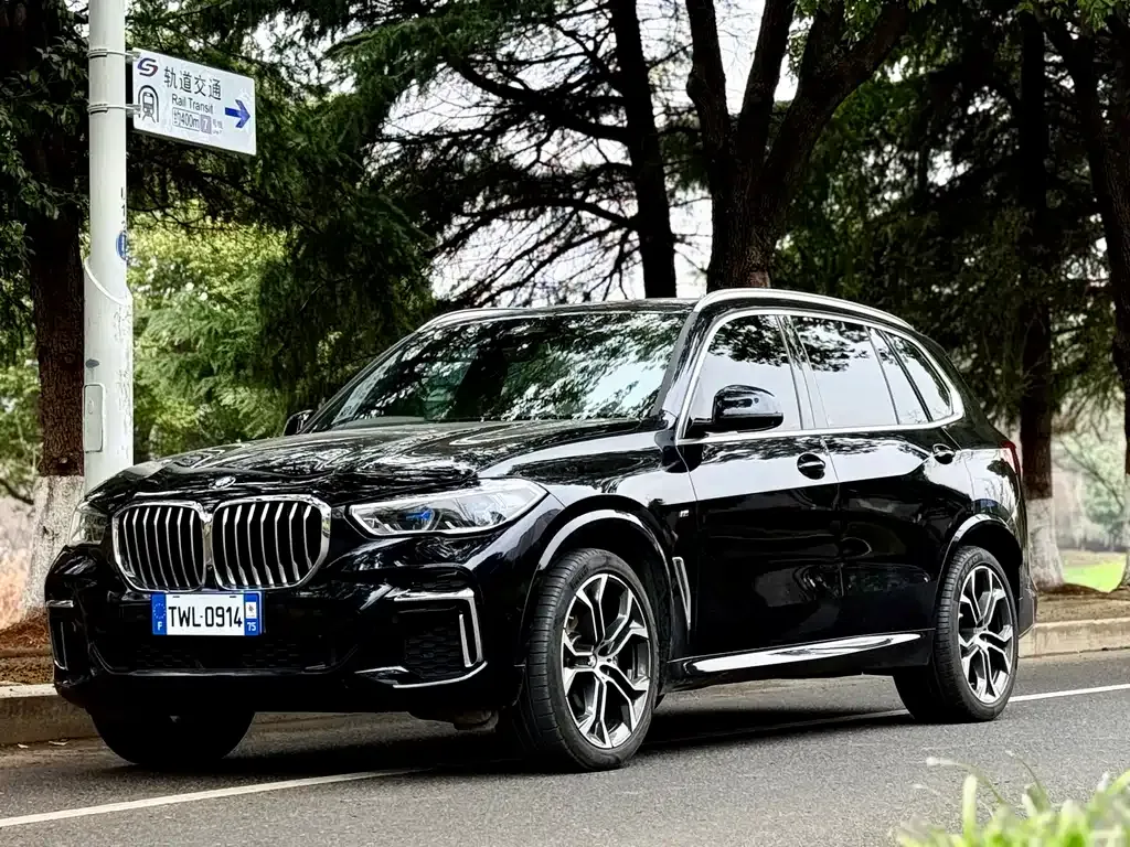 BMW X5 — фото 1
