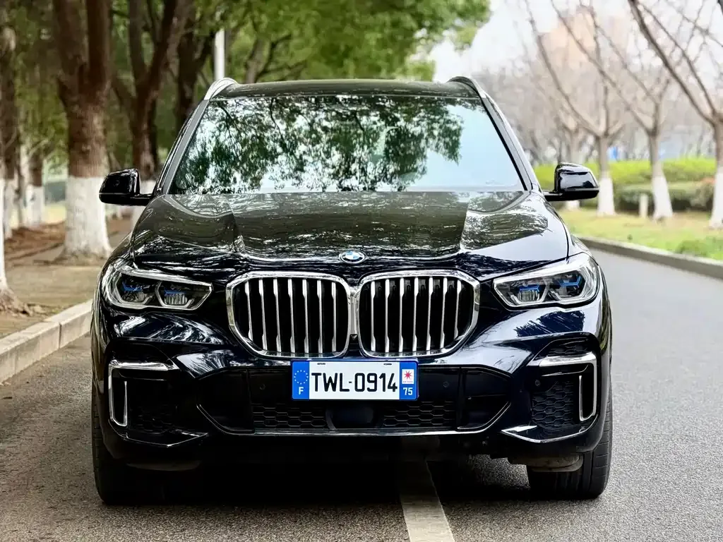 BMW X5 — фото 10