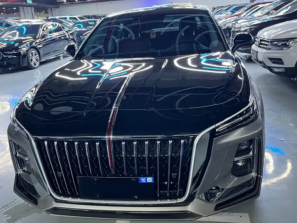 Hongqi H5 2024 из CN, фото 9