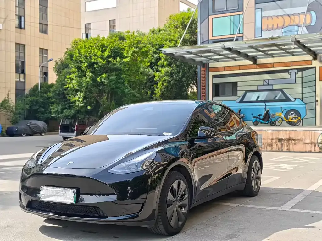 Tesla Model Y 2022 из CN, фото 1