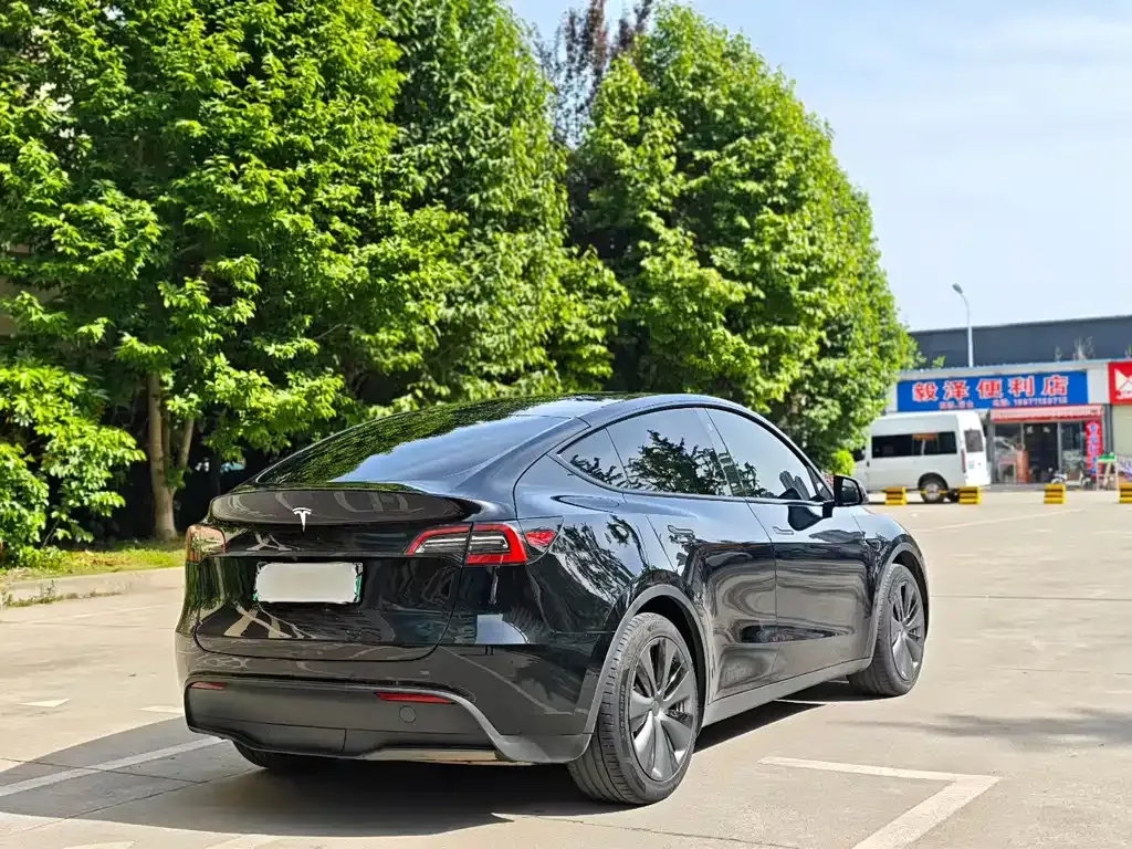 Tesla Model Y 2022 из CN, фото 9