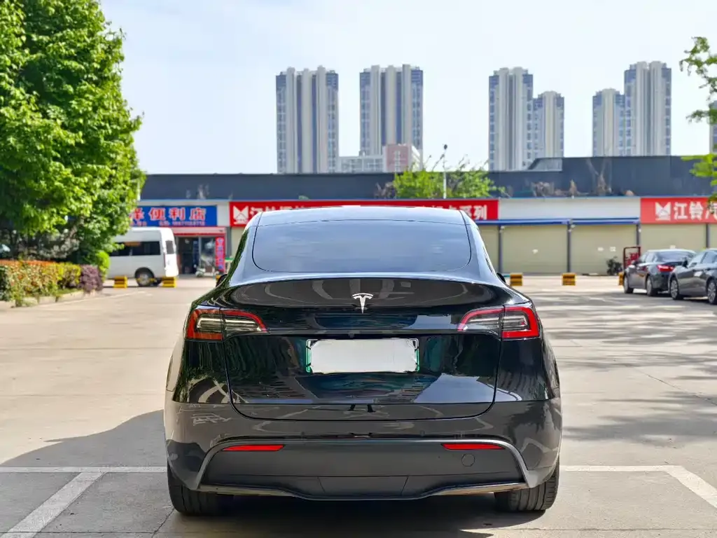 Tesla Model Y 2022 из CN, фото 6