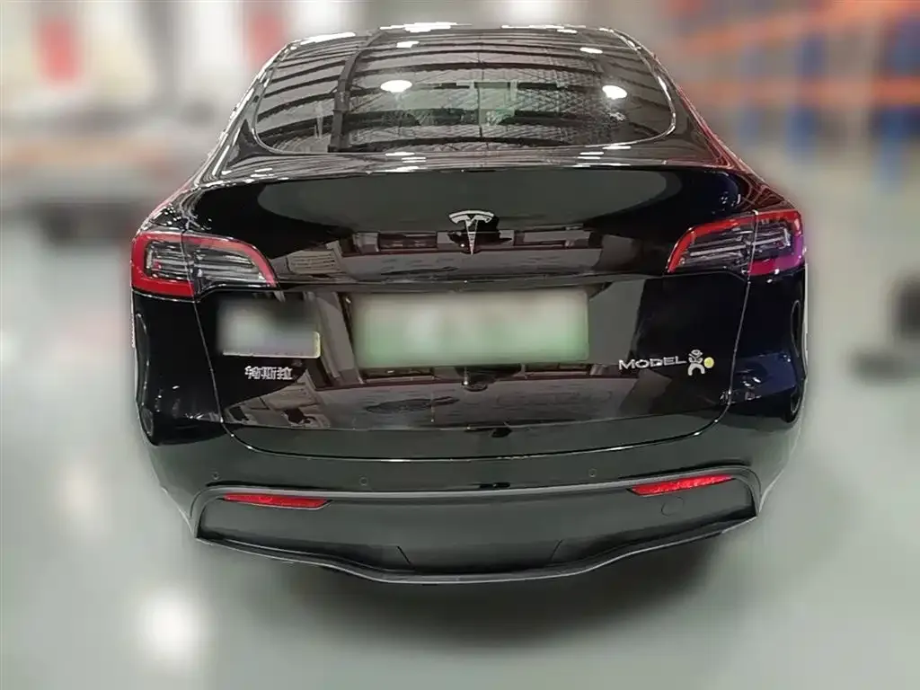 Tesla Model Y 2024 из CN, фото 8