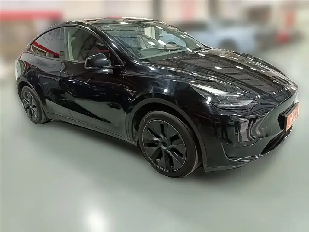 Tesla Model Y 2024 из CN, фото 6