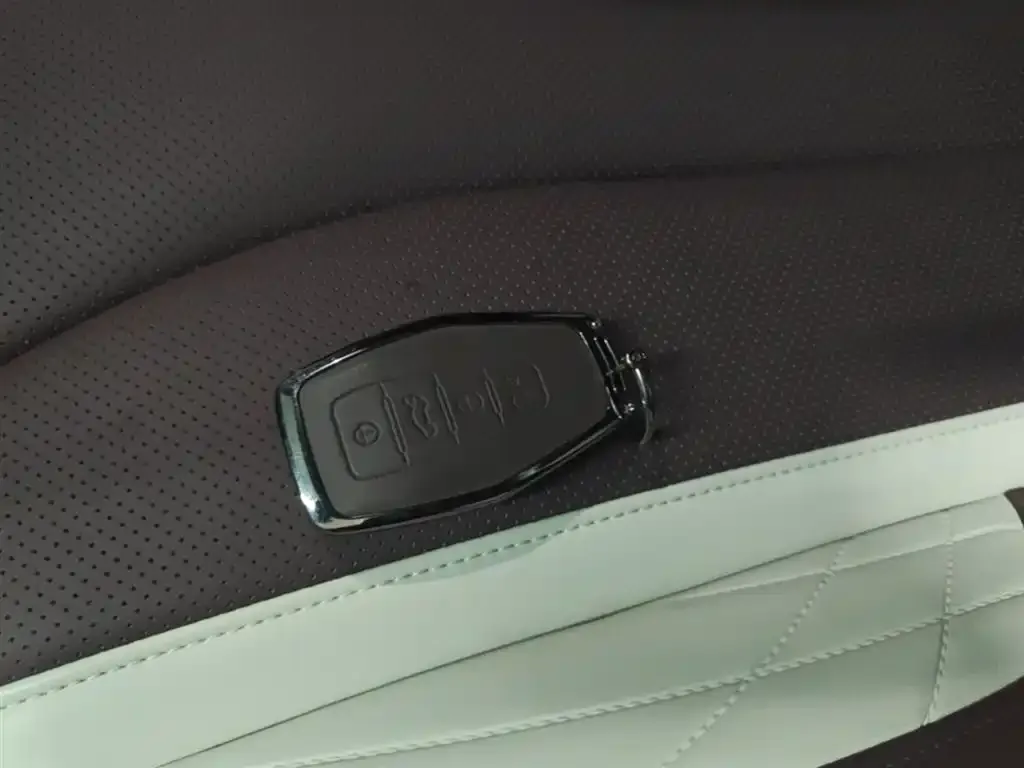 Geely Xingyue L 2023 из CN, фото 2