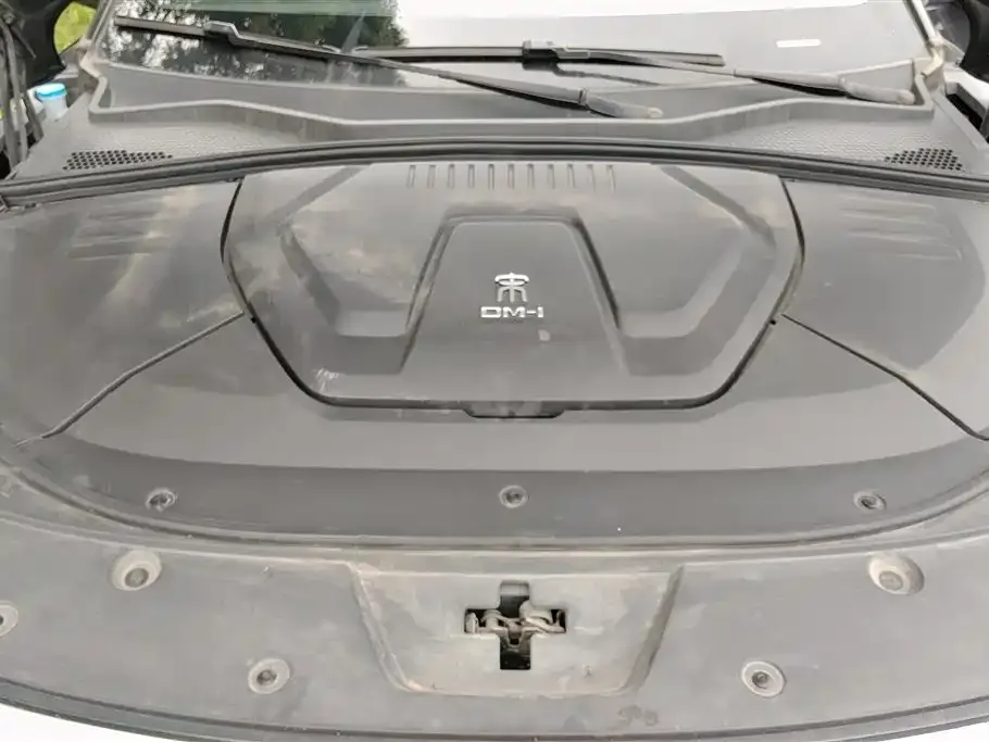 BYD PLUS New Energy 2023 из CN, фото 2