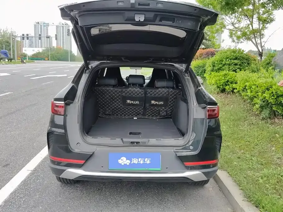 BYD PLUS New Energy 2023 из CN, фото 5