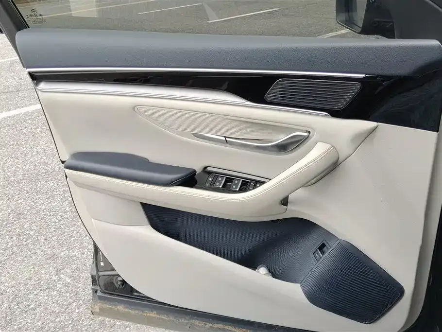 BYD PLUS New Energy 2023 из CN, фото 4