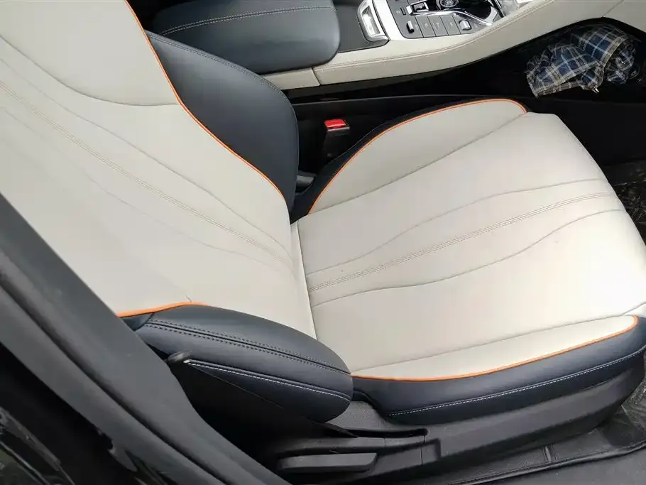 BYD PLUS New Energy 2023 из CN, фото 7