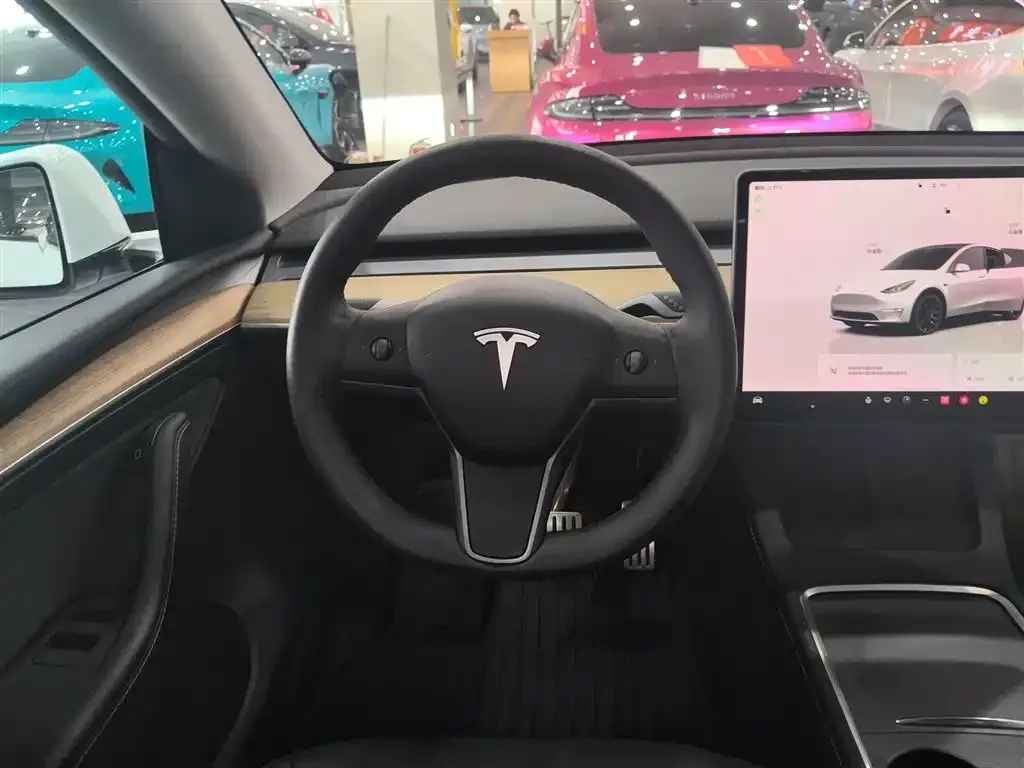 Tesla Model Y — фото 10